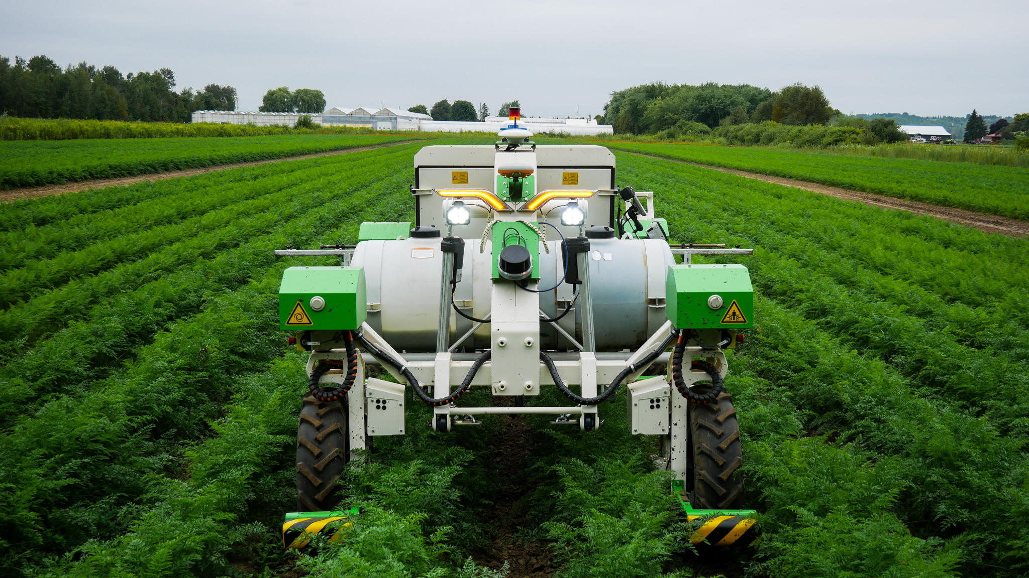 A green and silver custom sprayer applying fungicides and fertilizer in a green field of carrots in the Holland Marsh.