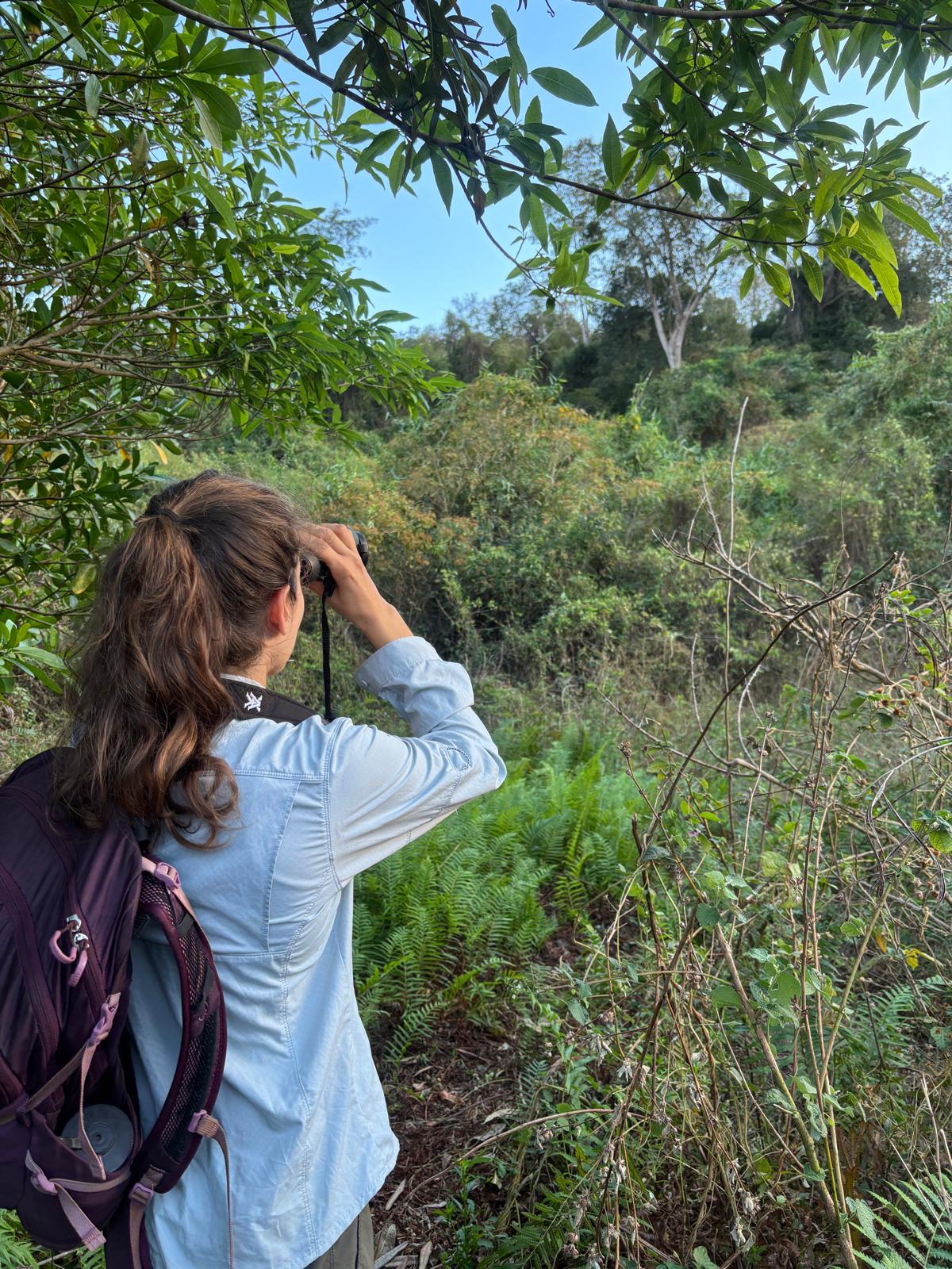 A woman standing in a field in Madagascar looking for lemurs.