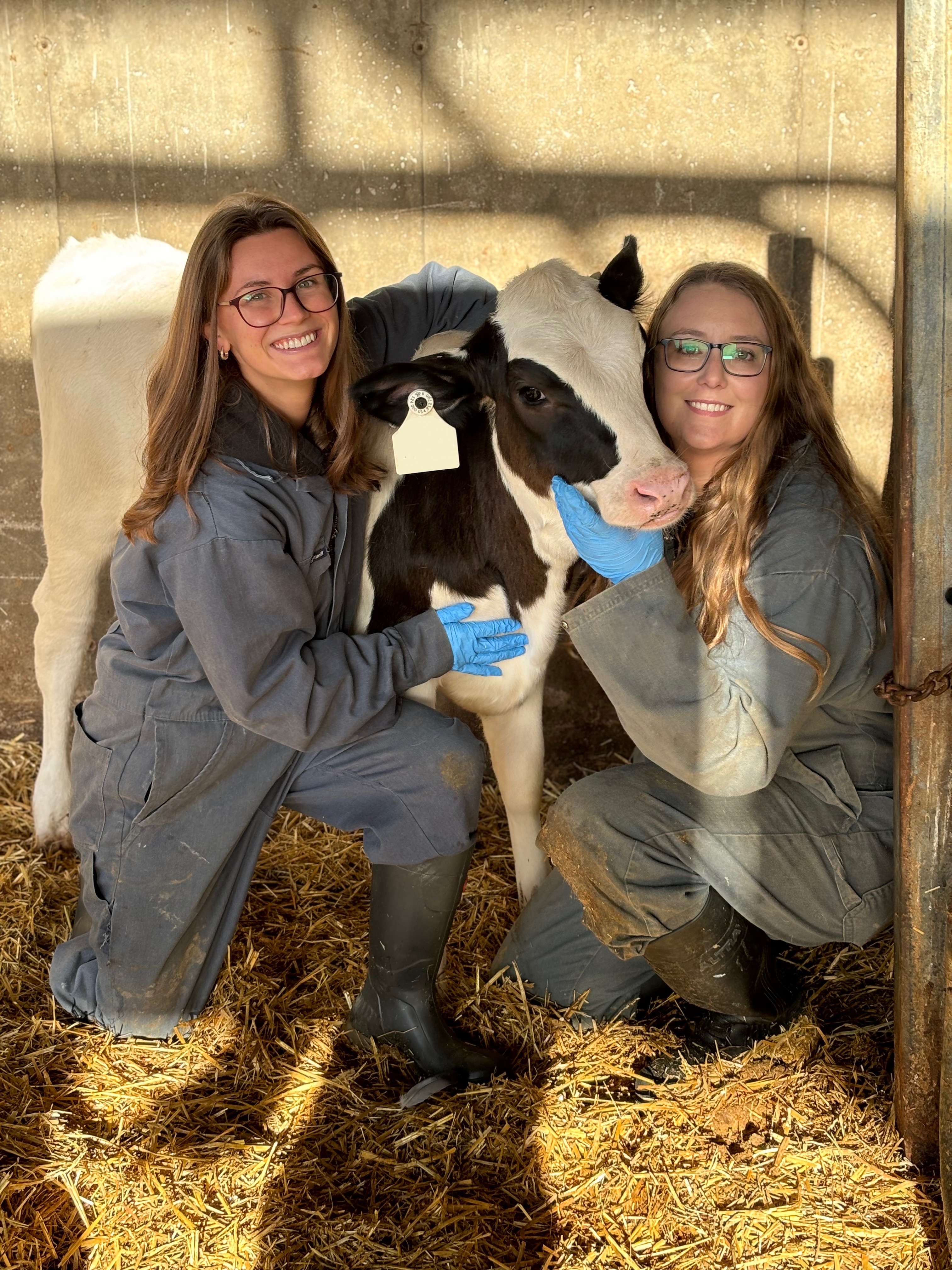 Two women posing with a black cow