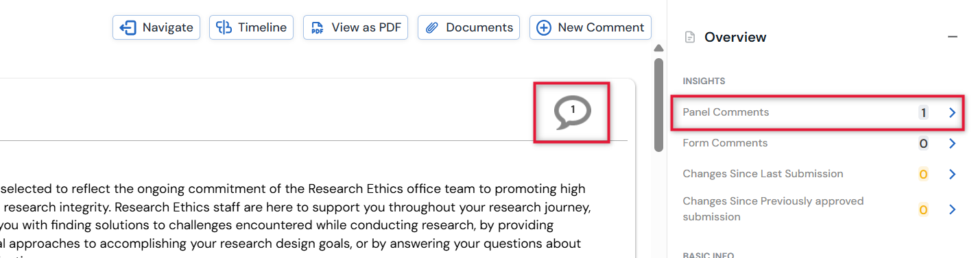Screenshot of the Panel comments