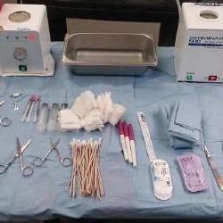 Three ferrets sitting on a towel