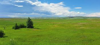 A green pasture with some trees on the left and hills on the background