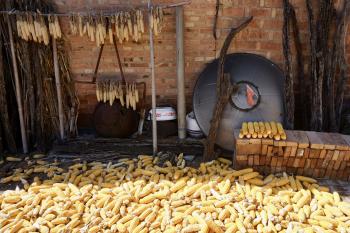 A mountain of corn drying in the sun. In the background, dried branches, cooking pots, a Chinese flag, and more corn.
