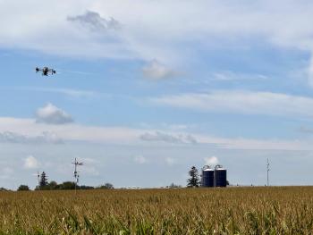 A drone in the sky broadcasting cover crop seeds into standing corn