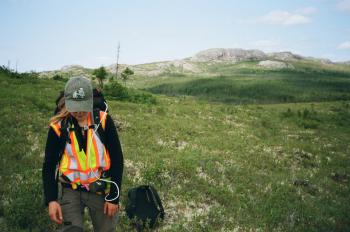 A woman with a mountain behind her in the distance scouting for fungal disease on blueberry.