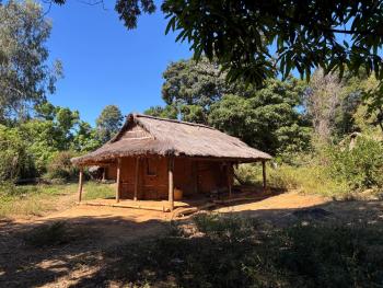A thatched-roof home with wooden pillars and mud walls sits within a forest in Madagascar.
