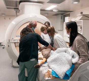 In the background is an MRI tube, in the foreground, 6 people attend to a curly haired dog that lays on the MRI bed. 
