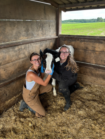 Graduate students Michele Brower (Left) and Lydia Conrad (Right) with a weaned Holstein dairy heifer calf. They are inside an outdoor covered calf shelter.