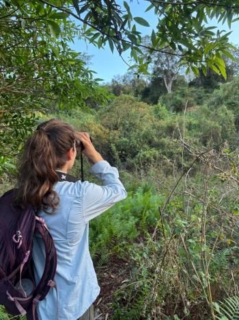 A woman standing in a field in Madagascar looking for lemurs.