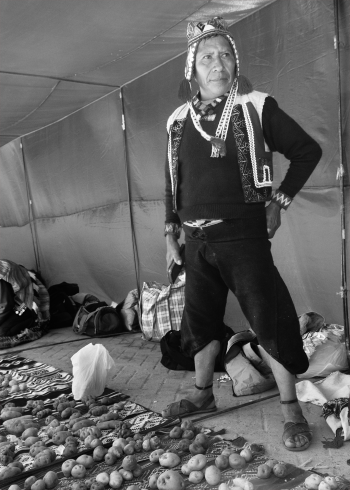 A man in the Andes of Peru standing in front of a mat with potatoes on it.