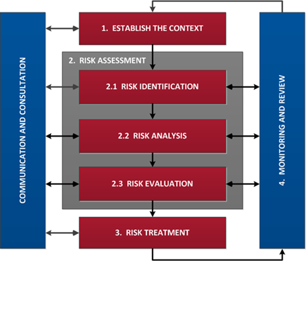 Flow chart of risk management process