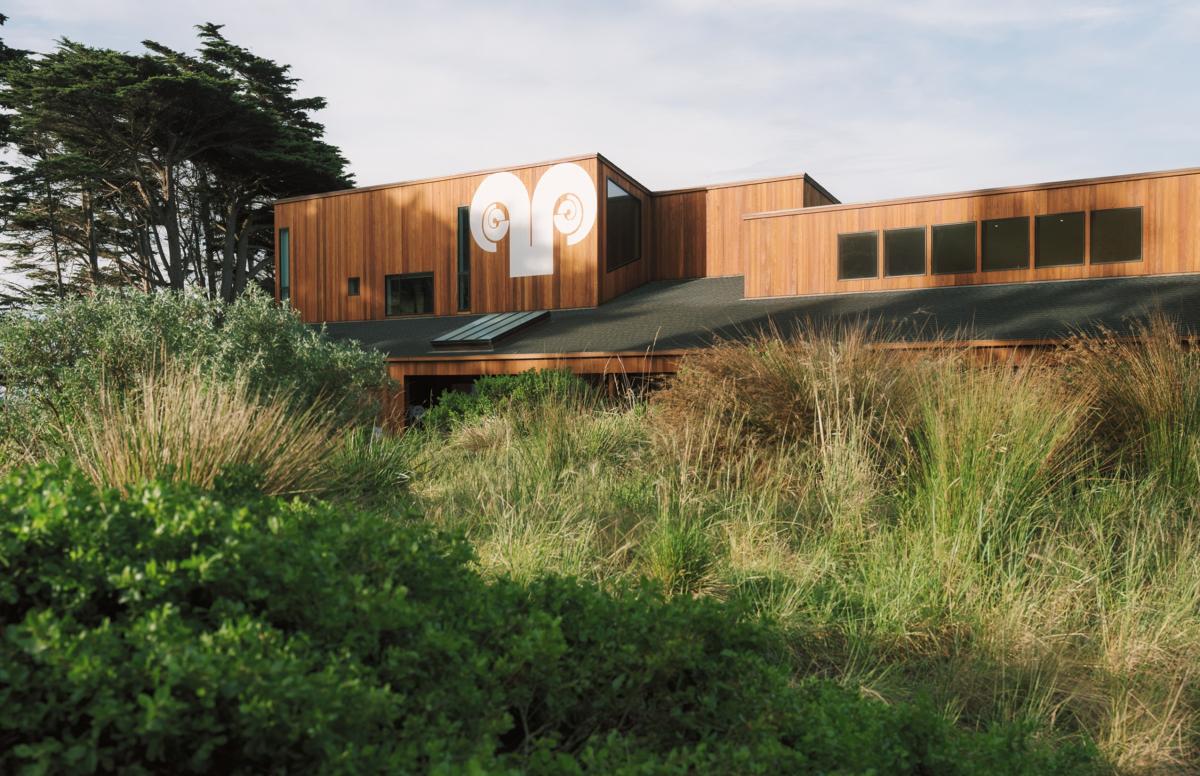 vegettion, grasses and trees surround Sea Ranch Lodge