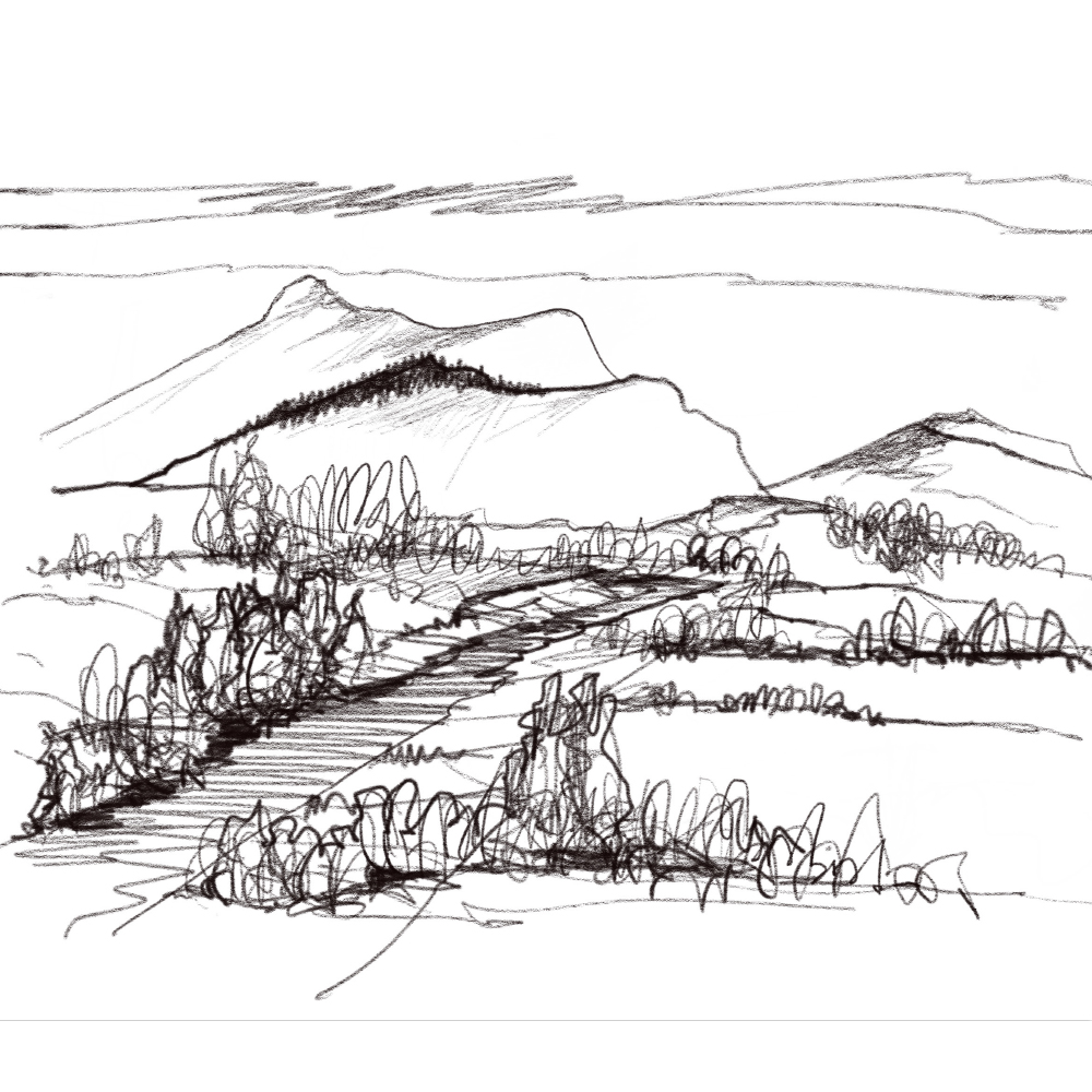 Hand sketch of landscape with trees and hills