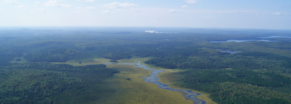 Aerial photo of Algonquin Park with river flowing through forested area