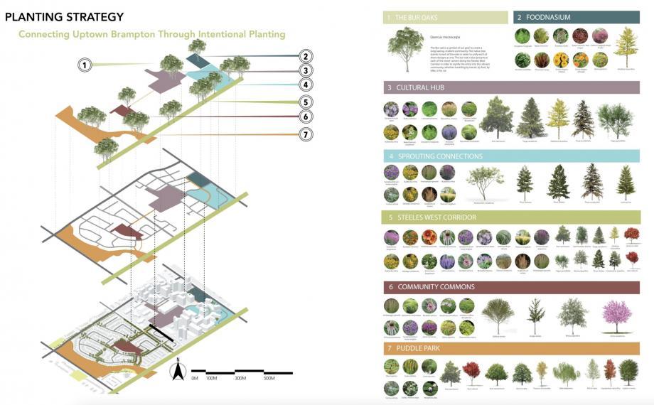 Plant Strategy Panel: Intentional Planting showing various plants and usage within the design 