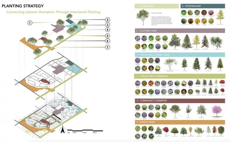 Plant Strategy Panel: Intentional Planting showing various plants and usage within the design