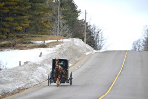 Old Order Mennonites in Waterloo region