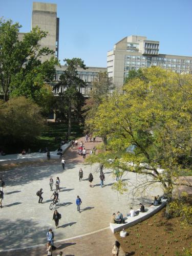 View of re-designed Branion Plaza