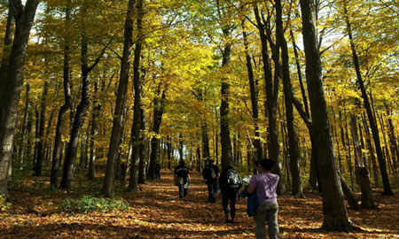 Landscape Resource Analysis Field Walk