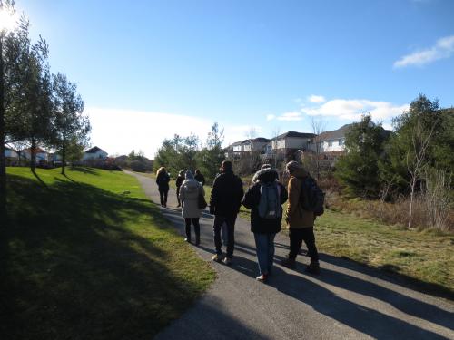 Students walking on field pathway at Westminster Woods