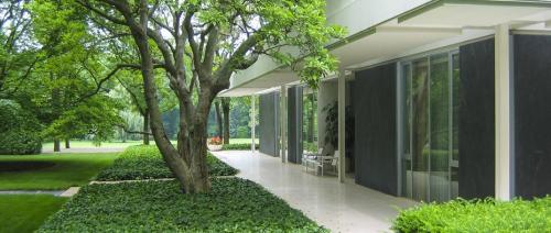 large tree in front of building