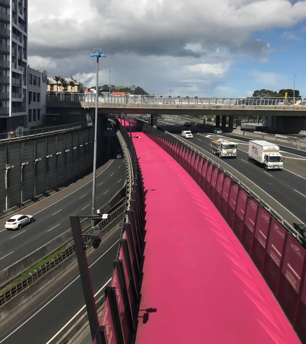 view of pink path bike lane above city street