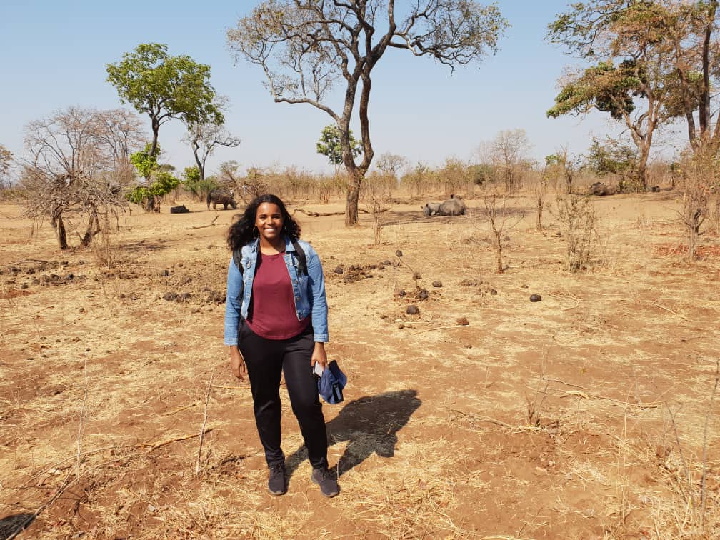 Women standing in front of white rhinos