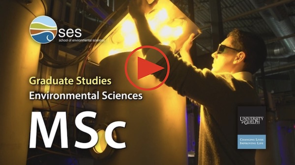 Link to our MSc video