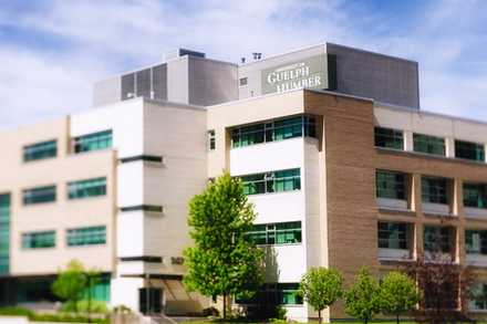 The main building of the University of Guelph-Humber campus