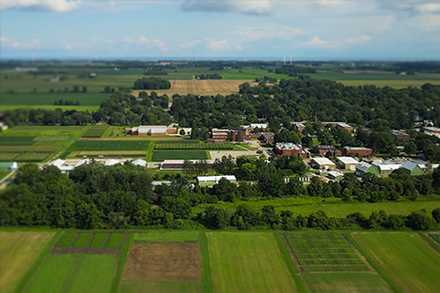 An aerial view of the Ridgetown Campus