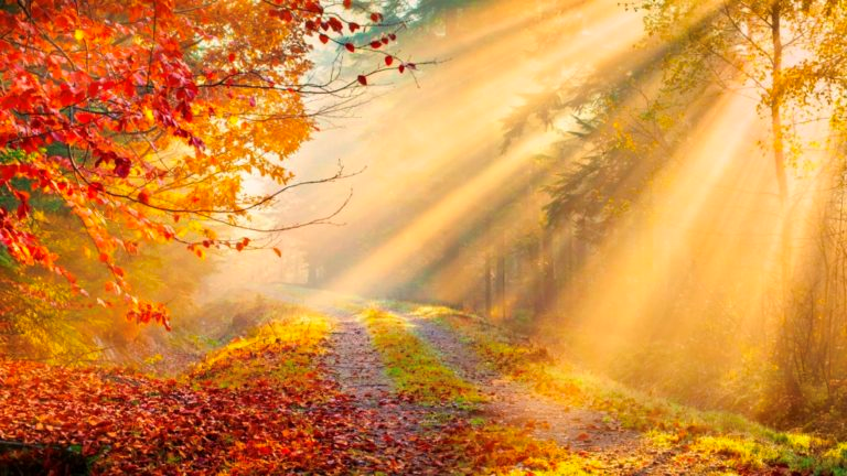 Sun beams on an autumn landscape