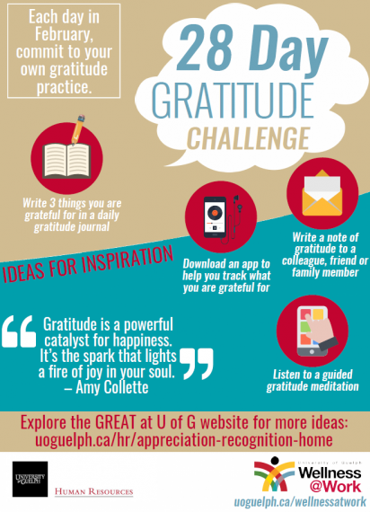 Poster of the 28 Day Gratitude Challenge 